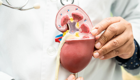 kidney disease treatment in India